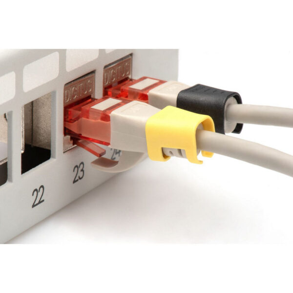 ASSMANN product, assmann_a cc m_3__comelsoft.com_, Comel Soft Multimedia, Ltd.