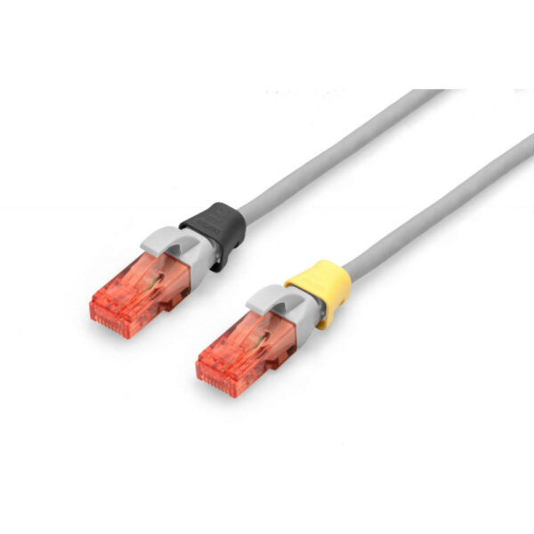 ASSMANN product, assmann_a cc m_4__comelsoft.com_, Comel Soft Multimedia, Ltd.
