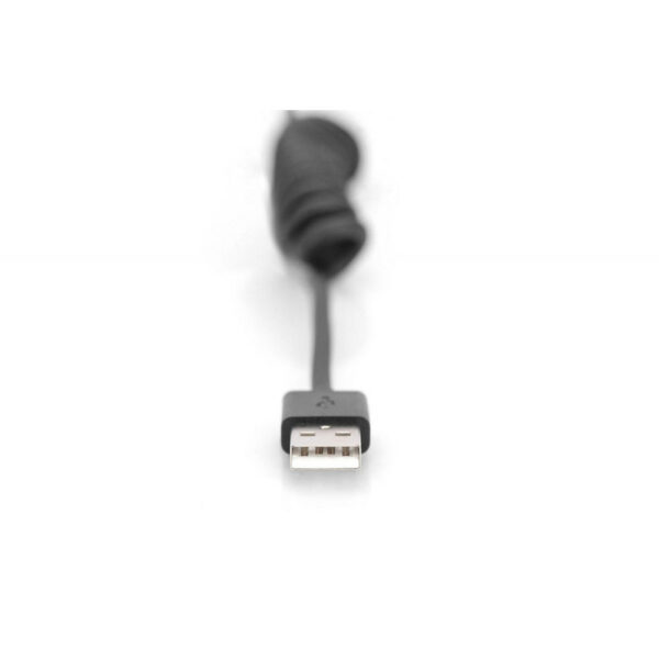 ASSMANN product, assmann_ak 300430 006 s_5__comelsoft.com_, Comel Soft Multimedia, Ltd.