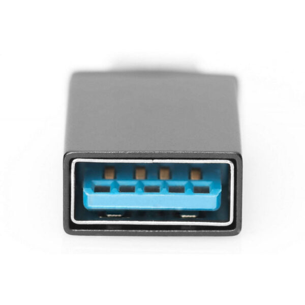 ASSMANN product, assmann_ak 300506 000 s_3__comelsoft.com_, Comel Soft Multimedia, Ltd.