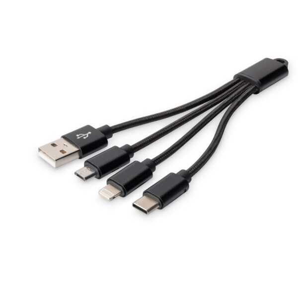 ASSMANN product, assmann_db 300160 002 s_1__comelsoft.com_, Comel Soft Multimedia, Ltd.