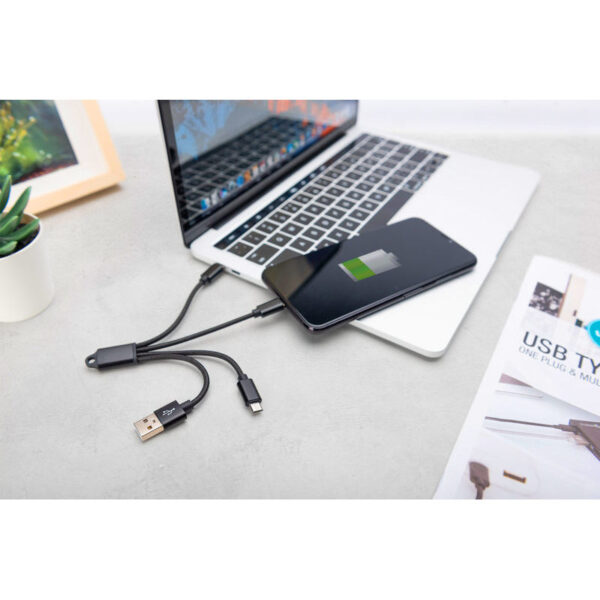 ASSMANN product, assmann_db 300160 002 s_3__comelsoft.com_, Comel Soft Multimedia, Ltd.