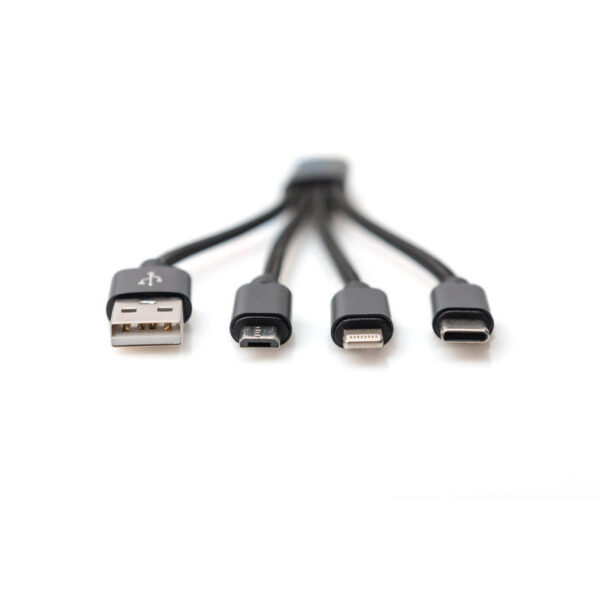 ASSMANN product, assmann_db 300160 002 s_4__comelsoft.com_, Comel Soft Multimedia, Ltd.