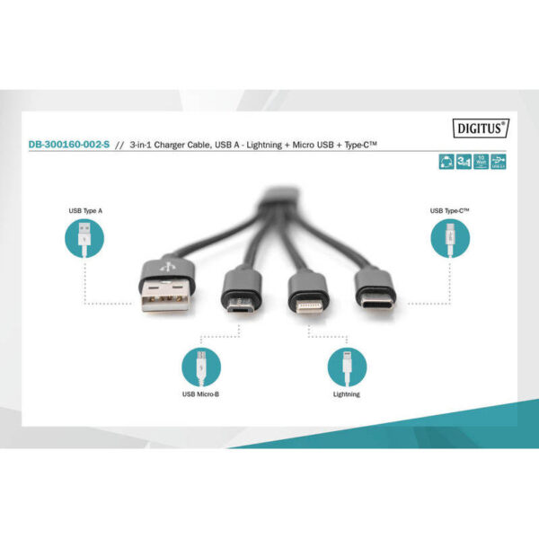 ASSMANN product, assmann_db 300160 002 s_5__comelsoft.com_, Comel Soft Multimedia, Ltd.