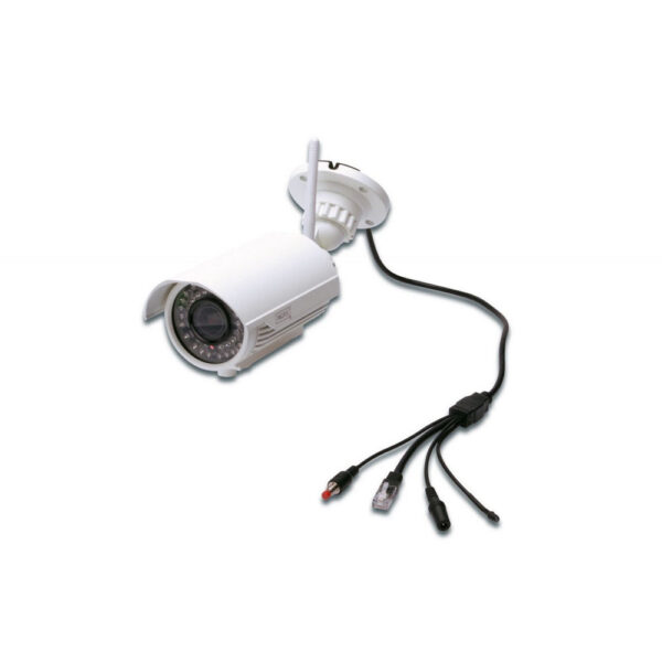 ASSMANN product, assmann_dn 16039_4__comelsoft.com_, Comel Soft Multimedia, Ltd.