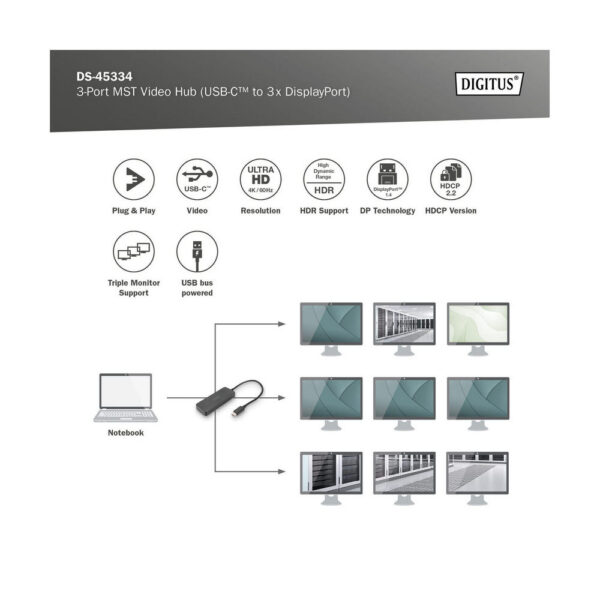 ASSMANN product, assmann_ds 45334_5__comelsoft.com_, Comel Soft Multimedia, Ltd.
