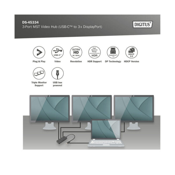 ASSMANN product, assmann_ds 45334_6__comelsoft.com_, Comel Soft Multimedia, Ltd.