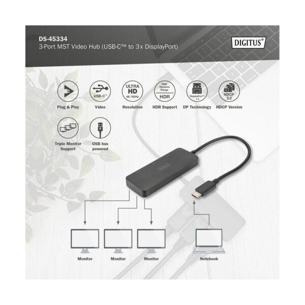 ASSMANN product, assmann_ds 45334_7__comelsoft.com_, Comel Soft Multimedia, Ltd.