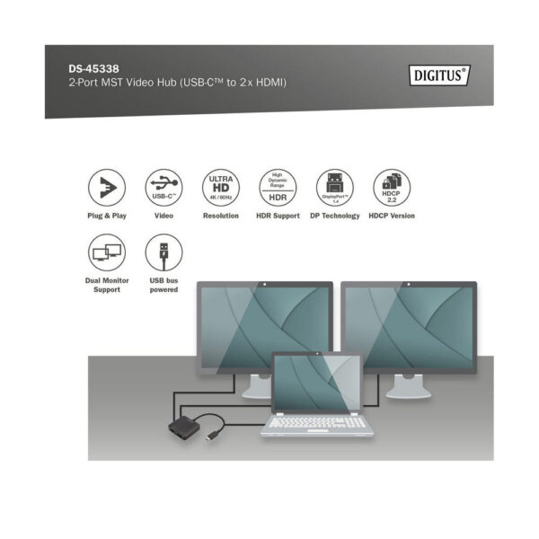 ASSMANN product, assmann_ds 45338_6__comelsoft.com_, Comel Soft Multimedia, Ltd.