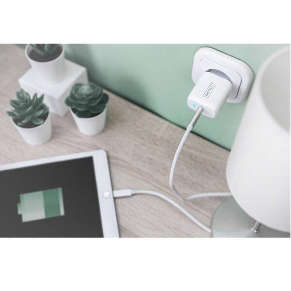 ASSMANN product, digituis_DA 10196_5__comelsoft.com_, Comel Soft Multimedia, Ltd.