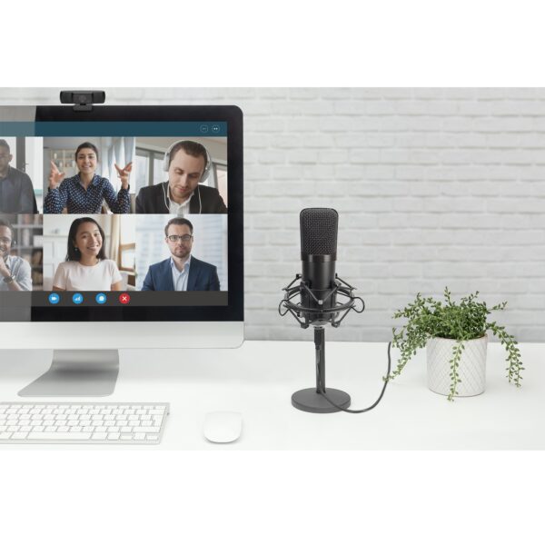 ASSMANN product, digitus_DA 20300_10__comelsoft.com_, Comel Soft Multimedia, Ltd.