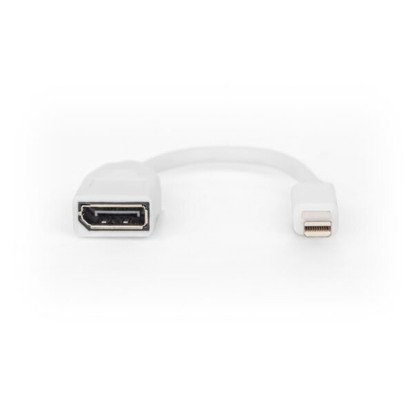 ASSMANN product, digitus__DB 340405 001 W_4__comelsoft.com_, Comel Soft Multimedia, Ltd.