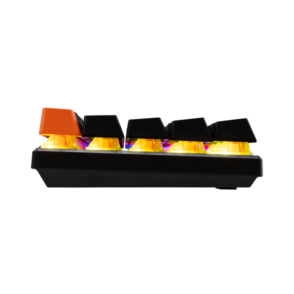 BARACUDA product, BARACUDA_DOLPHIN B RED_SW_6__comelsoft.com_, Comel Soft Multimedia, Ltd.