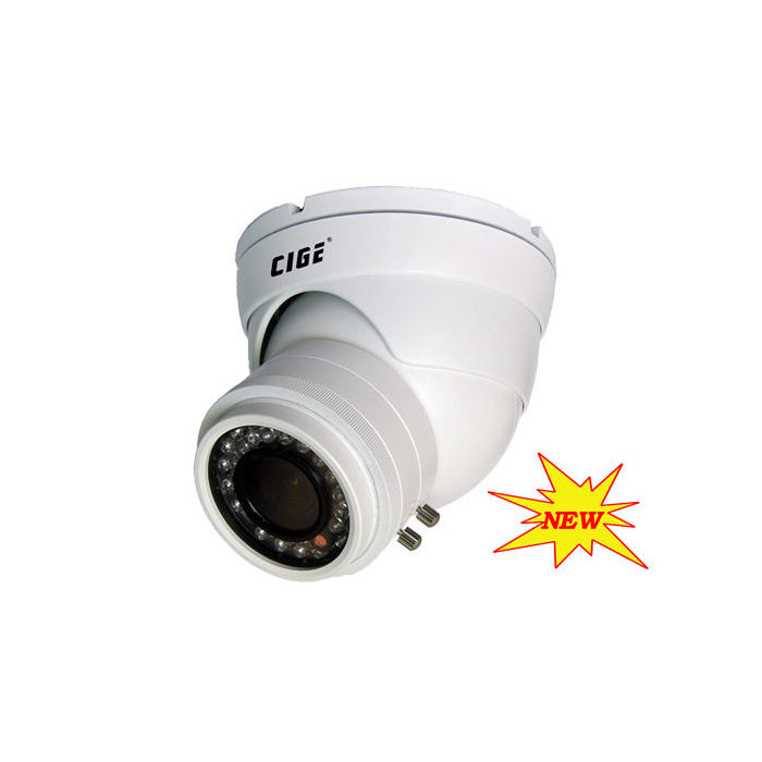 CIGE product, cige_dis 916vf_e_1__comelsoft.com_, Comel Soft Multimedia, Ltd.