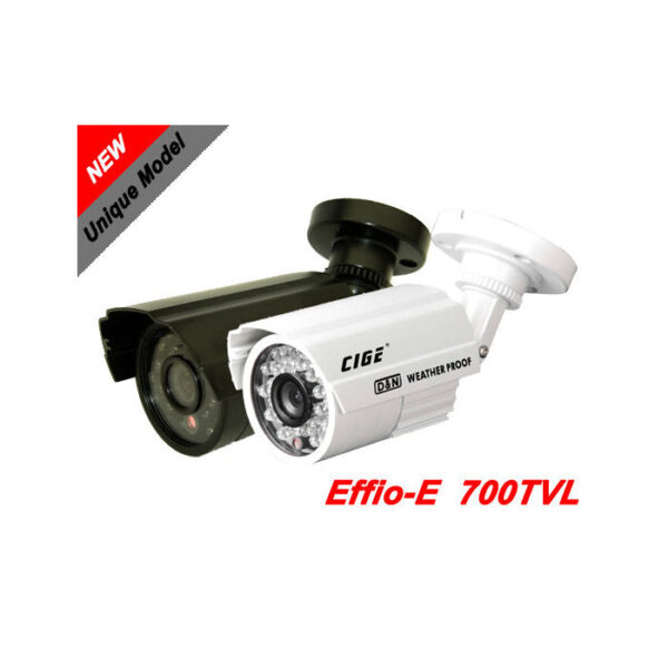 CIGE product, cige_dis 968ef_1__comelsoft.com_, Comel Soft Multimedia, Ltd.