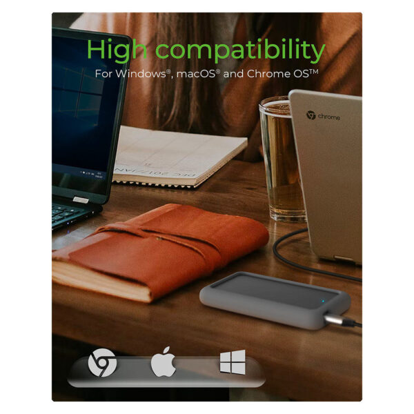ICYBOX product, icybox_ib 246 c31 g_5__comelsoft.com_, Comel Soft Multimedia, Ltd.