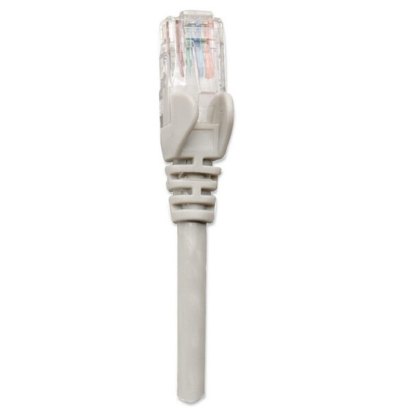 INTELLINET product, intellinet_319768_4__comelsoft.com_, Comel Soft Multimedia, Ltd.