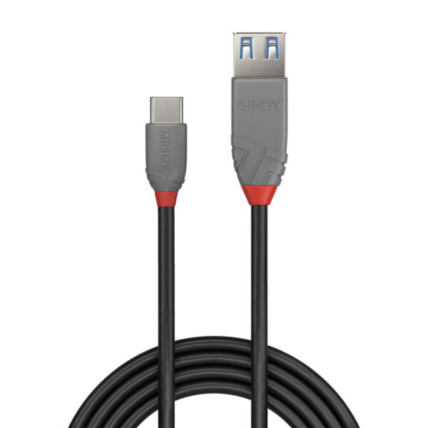 LINDY product, lindy_LNY 36895_2__comelsoft.com_, Comel Soft Multimedia, Ltd.