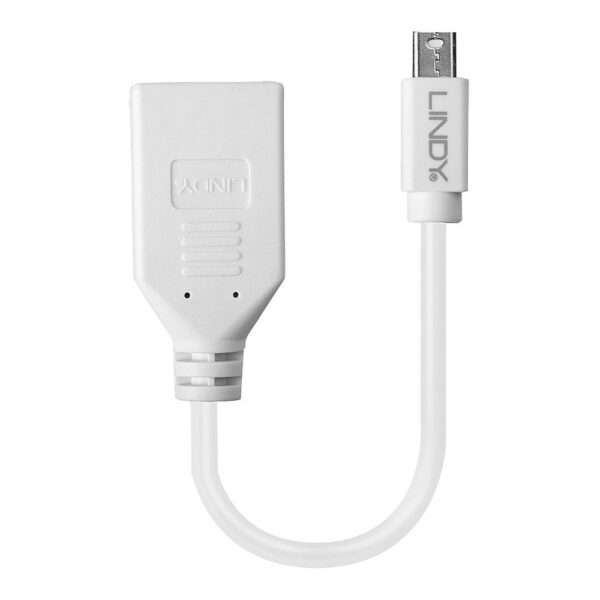 LINDY product, lindy_LNY 41021_2__comelsoft.com_, Comel Soft Multimedia, Ltd.