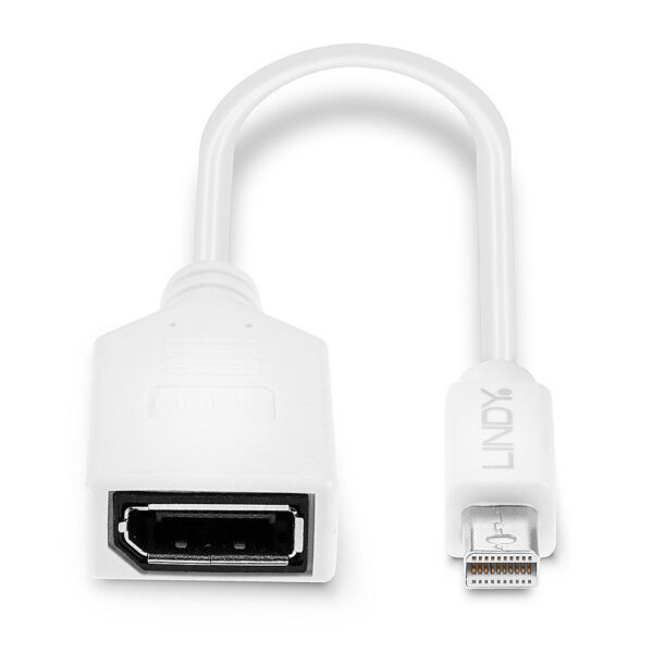 LINDY product, lindy_LNY 41021_4__comelsoft.com_, Comel Soft Multimedia, Ltd.