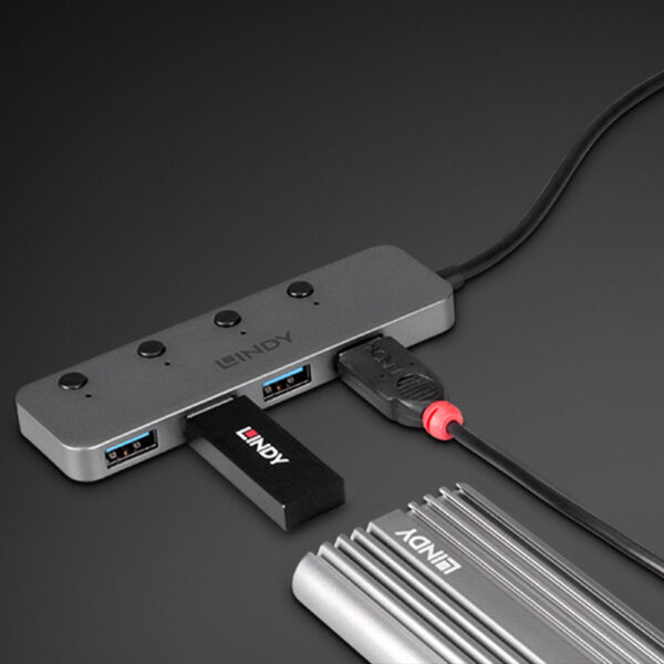 LINDY product, lindy_LNY 43309_5__comelsoft.com_, Comel Soft Multimedia, Ltd.