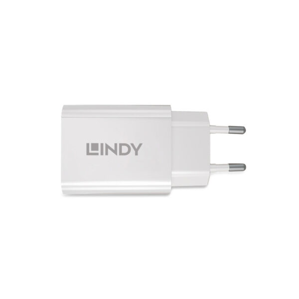 LINDY product, lindy_LNY 73424_5__comelsoft.com_, Comel Soft Multimedia, Ltd.
