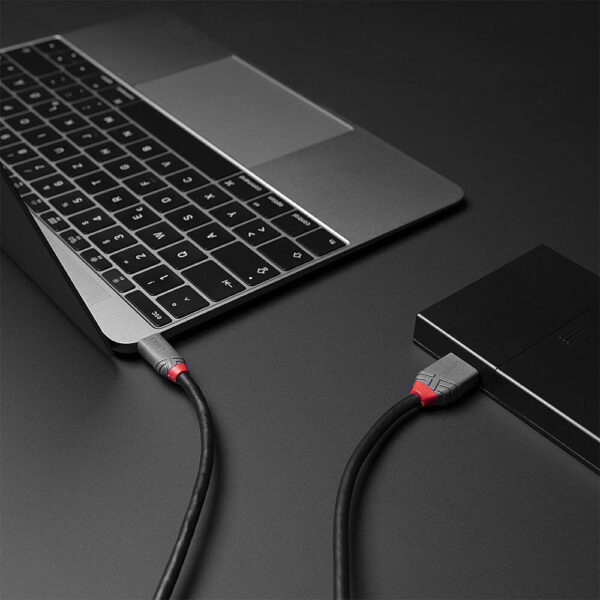 LINDY product, lindy_lny 36620_5__comelsoft.com_, Comel Soft Multimedia, Ltd.
