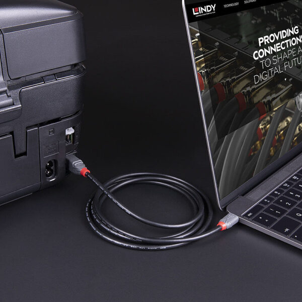 LINDY product, lindy_lny 36665_3__comelsoft.com_, Comel Soft Multimedia, Ltd.