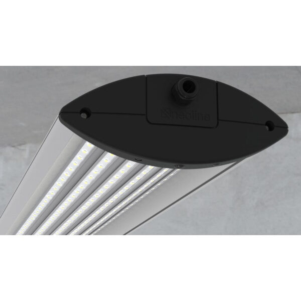 NEOLINE product, neoline_n15n60w3p40_11__comelsoft.com_, Comel Soft Multimedia, Ltd.