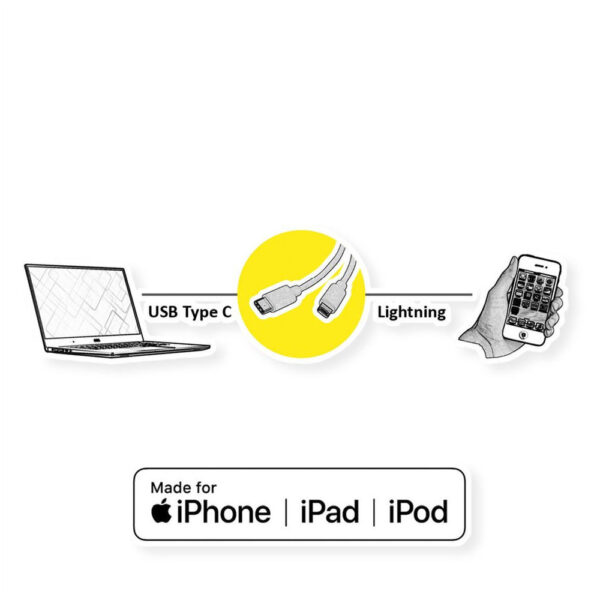 ROLINE product, roline_11.02.8323_2__comelsoft.com_, Comel Soft Multimedia, Ltd.