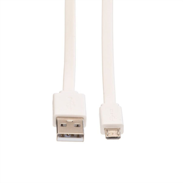 ROLINE product, roline_11.02.8761_2__comelsoft.com_, Comel Soft Multimedia, Ltd.
