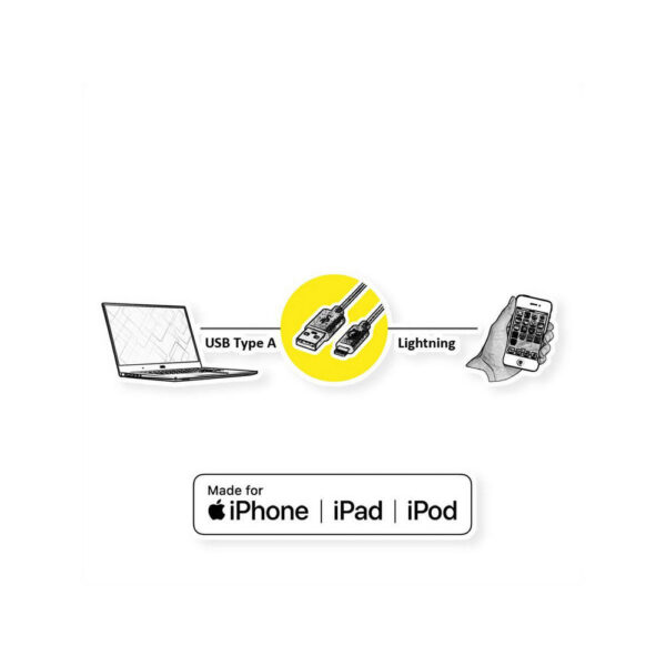 ROLINE product, roline_11.99.8322_3__comelsoft.com_, Comel Soft Multimedia, Ltd.