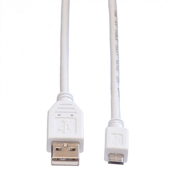 ROLINE product, roline_11.99.8755_2__comelsoft.com_, Comel Soft Multimedia, Ltd.