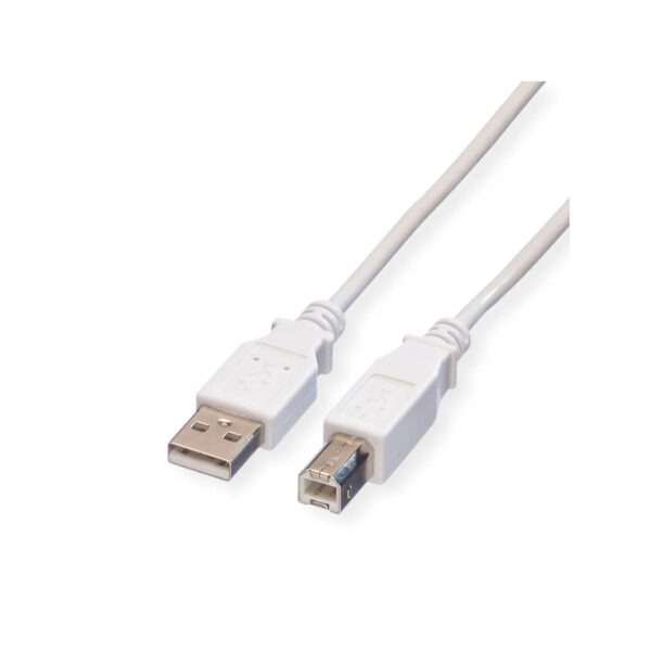 ROLINE product, roline_11.99.8809_1__comelsoft.com_, Comel Soft Multimedia, Ltd.
