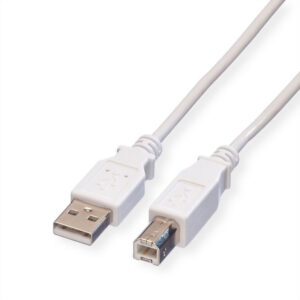 ROLINE product, roline_11.99.8831_1__comelsoft.com_, Comel Soft Multimedia, Ltd.