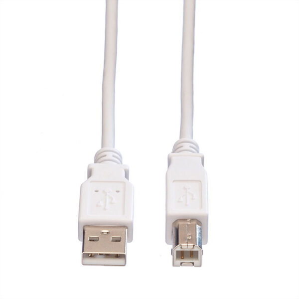 ROLINE product, roline_11.99.8831_2__comelsoft.com_, Comel Soft Multimedia, Ltd.