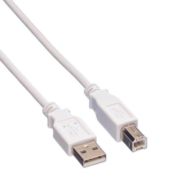 ROLINE product, roline_11.99.8831_3__comelsoft.com_, Comel Soft Multimedia, Ltd.
