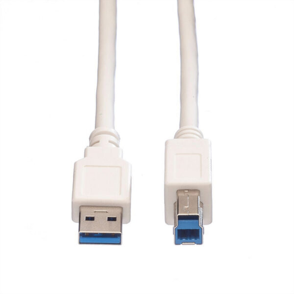 ROLINE product, roline_11.99.8869_2__comelsoft.com_, Comel Soft Multimedia, Ltd.