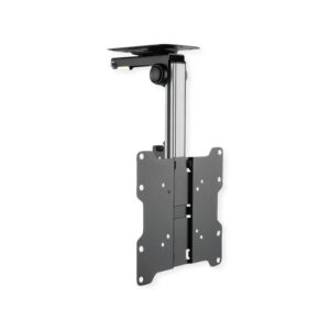 ROLINE product, roline_17.99.1186_1__comelsoft.com_, Comel Soft Multimedia, Ltd.