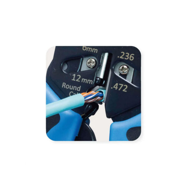 ROLINE product, roline_19.06.1048_4__comelsoft.com_, Comel Soft Multimedia, Ltd.