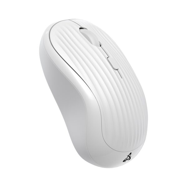 SBOX product, SBOX_WM 602W_3__comelsoft.com_, Comel Soft Multimedia, Ltd.