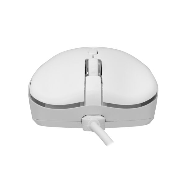 SBOX product, SBOX__Orca W_8_comelsoft.com_ , Comel Soft Multimedia, Ltd.