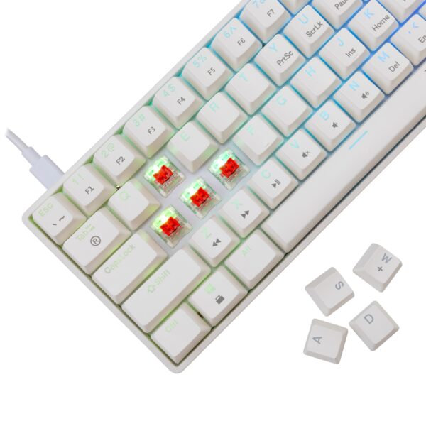 SBOX product, Sbox_Shinobi 2_3__comelsoft.com_, Comel Soft Multimedia, Ltd.