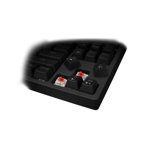 SBOX product, sbox_KODACHI_4__comelsoft.com_, Comel Soft Multimedia, Ltd.