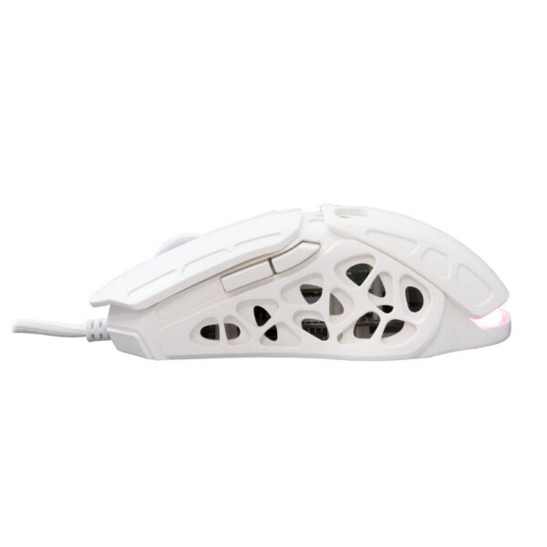 SBOX product, sbox_ector w_4__comelsoft.com_, Comel Soft Multimedia, Ltd.