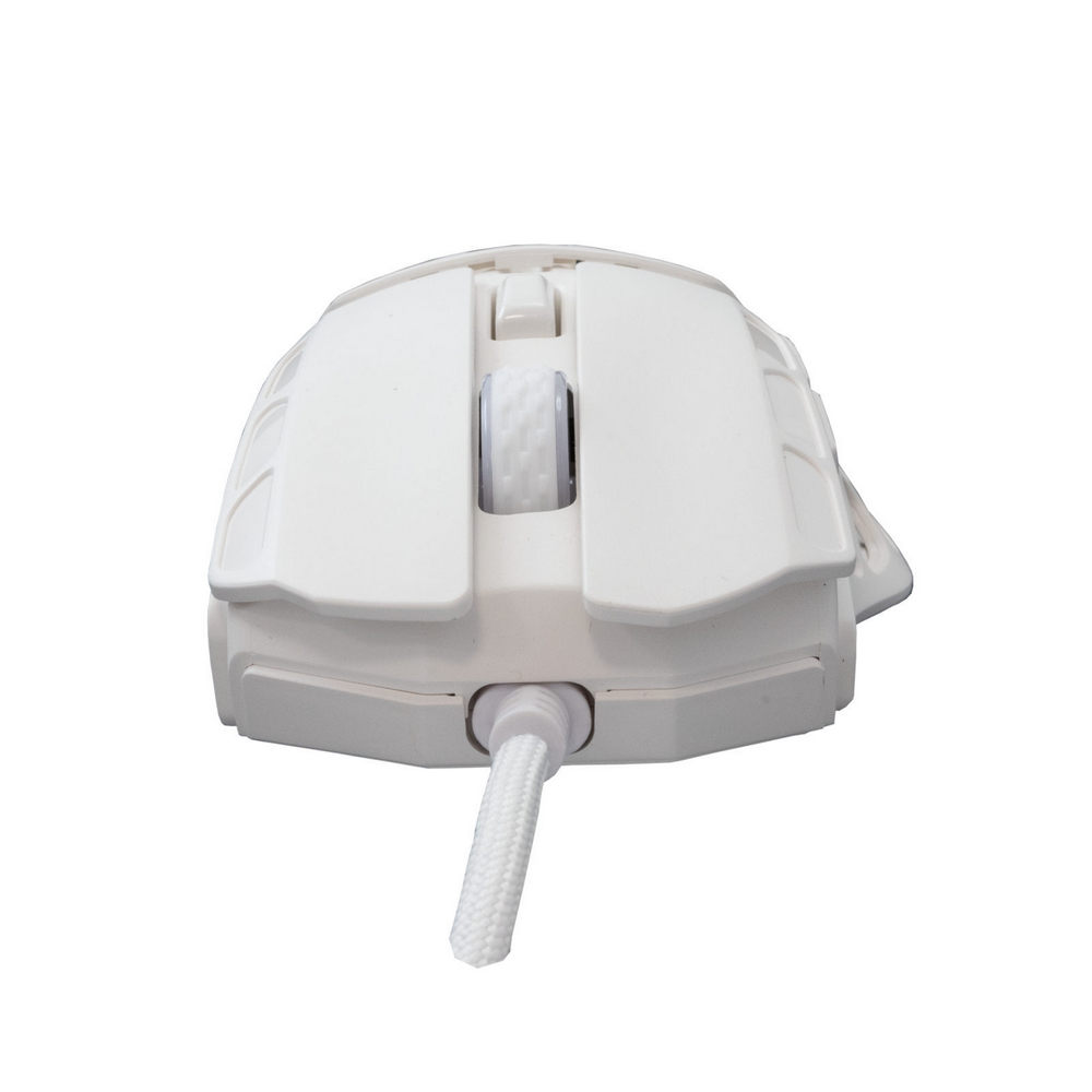 SBOX product, sbox_ector w_6__comelsoft.com_, Comel Soft Multimedia, Ltd.