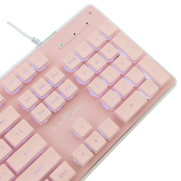 SBOX product, sbox_gk 003441_5__comelsoft.com_, Comel Soft Multimedia, Ltd.