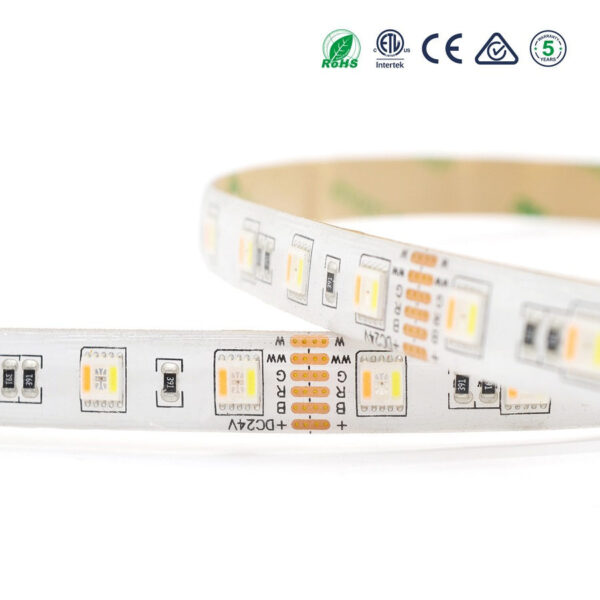 SOLI product, soli_sl f5050l60_4__comelsoft.com_, Comel Soft Multimedia, Ltd.