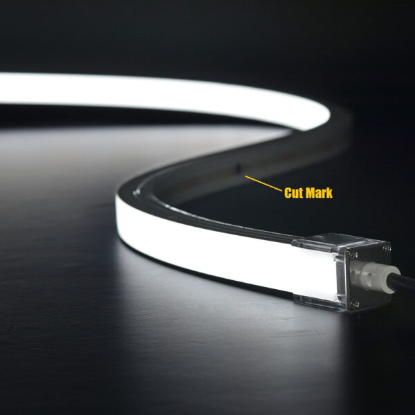SOLI product, soli_sl n1615v24 cc35_3__comelsoft.com_, Comel Soft Multimedia, Ltd.