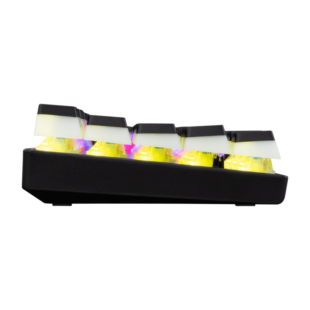 WHITE_SHARK product, WHITE SHARK_ASHIKO 2 B US RED.SW_._6__comelsoft.com_, Comel Soft Multimedia, Ltd.